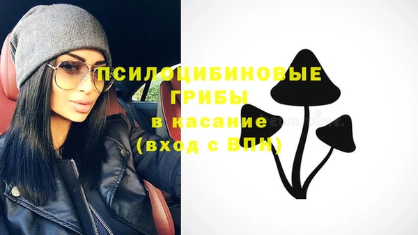 тгк Медвежьегорск