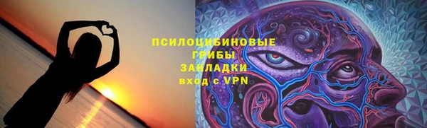 тгк Медвежьегорск