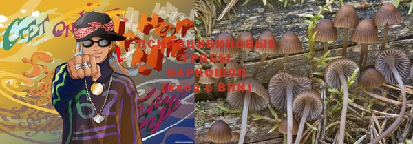 ешки Мегион