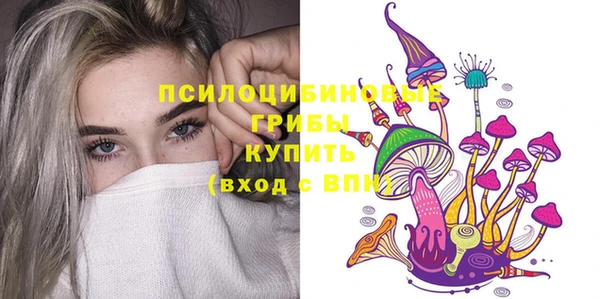тгк Медвежьегорск