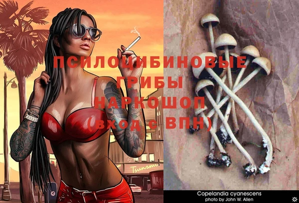 ешки Мегион