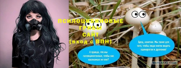 тгк Медвежьегорск