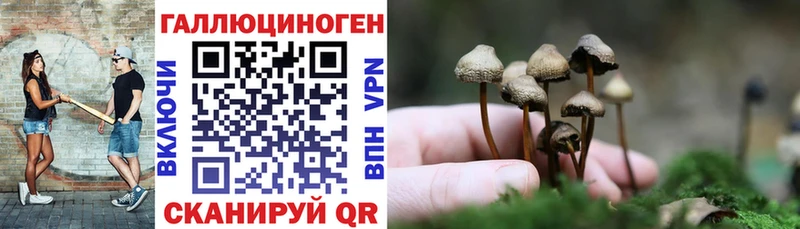 Галлюциногенные грибы MAGIC MUSHROOMS Новороссийск